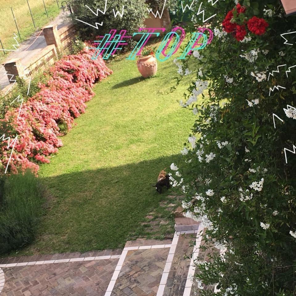 Villa Anna Castrocielo Dış mekan fotoğraf
